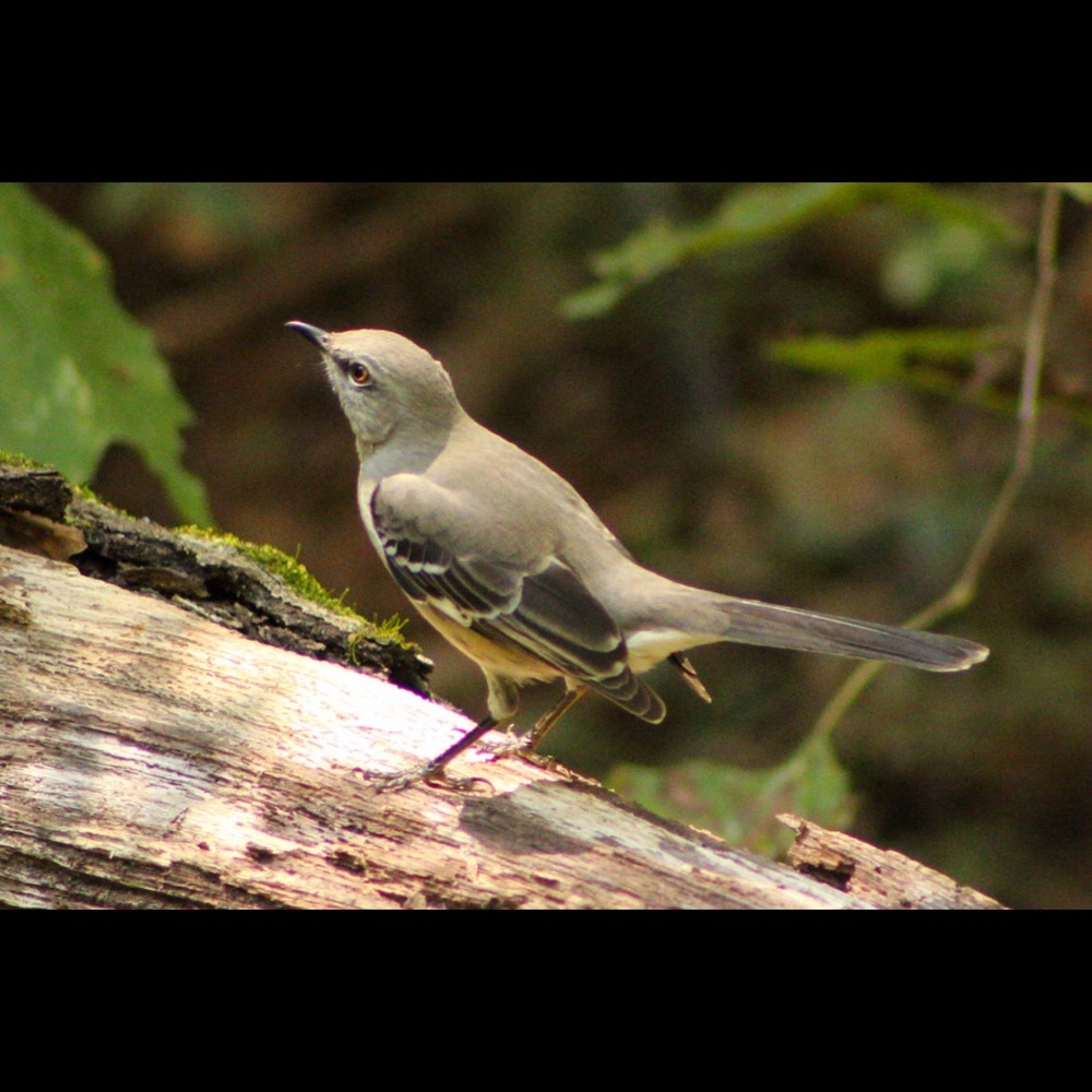 🛑STOP THE SCAMS!  PLEASE READ!!!🛑 - Picture 4 of 12